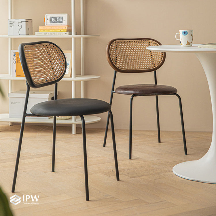 Apricot Dining Chair